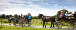 Jaunting Cars Killarney, County Kerry