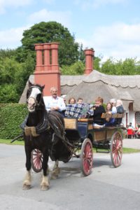 Jaunting Cars Killarney