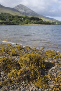 Croagh Patrick